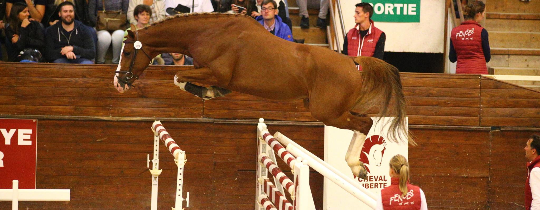 Ventes Fences