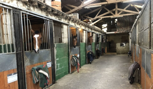Les boxes